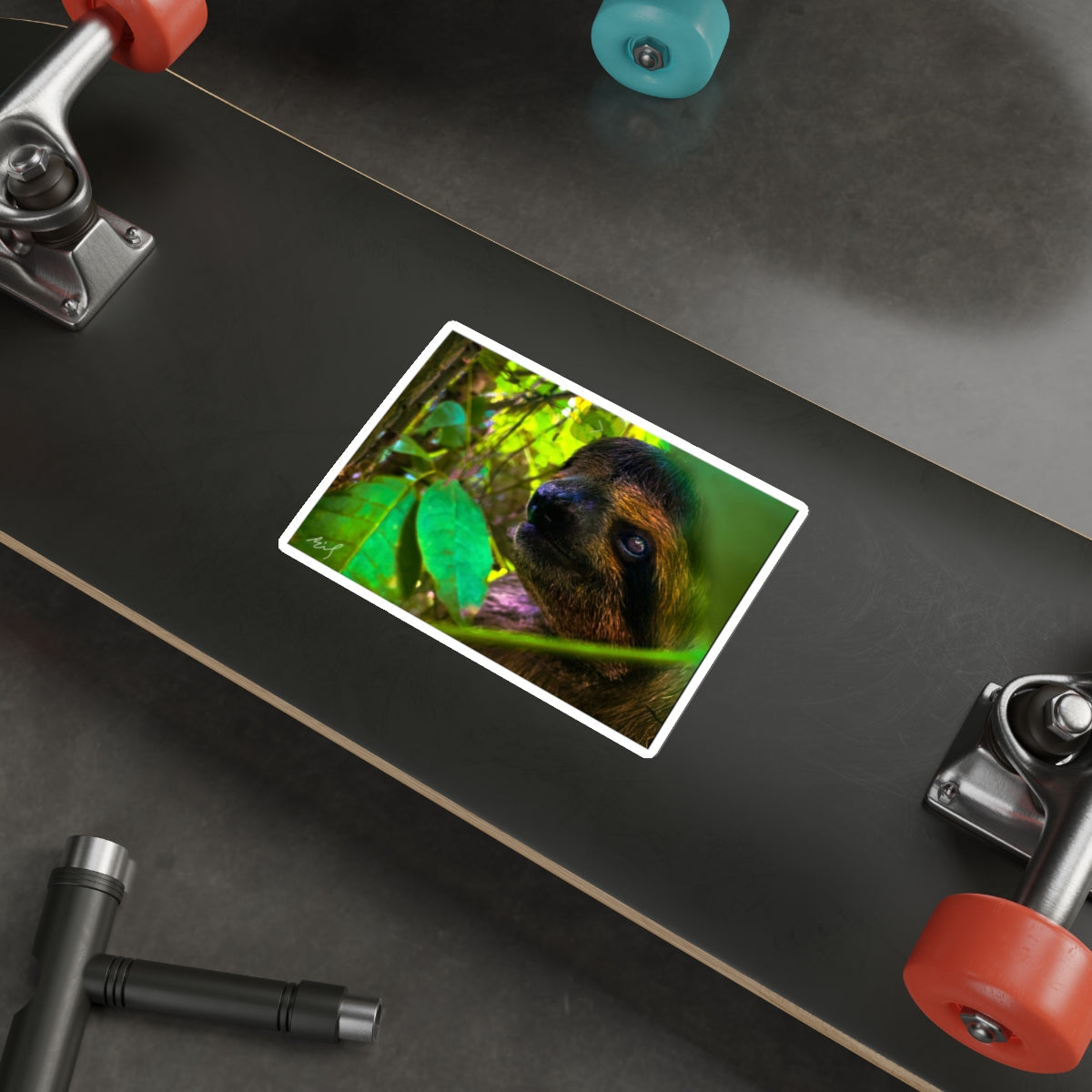 7 - 3 Tead Sloth - Stickers