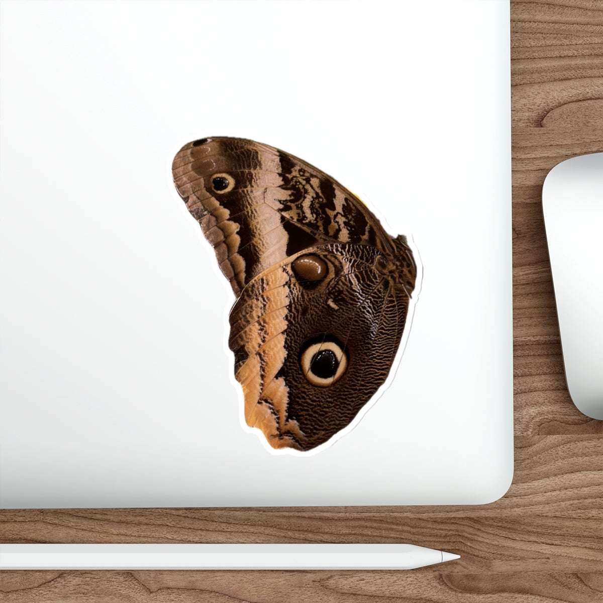 7 - Butterfly - 7 - Stickers