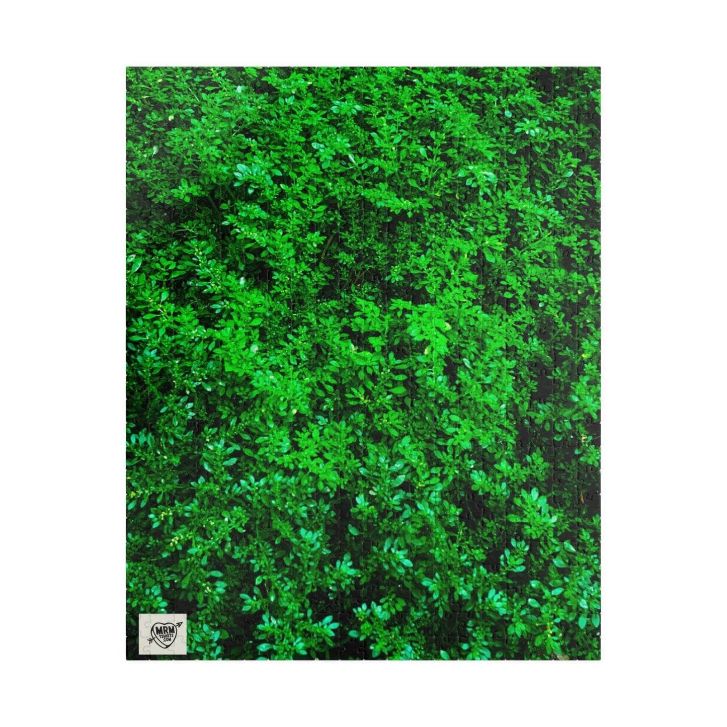 Tree - 3 - Puzzle - 110 to 1014 Pieces for Nature Lovers