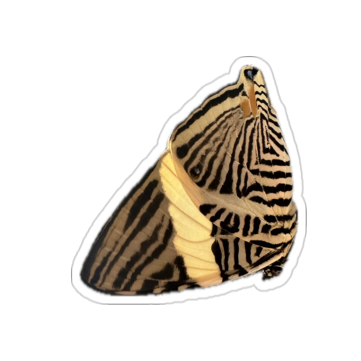 7 - Butterfly - 3 - Stickers