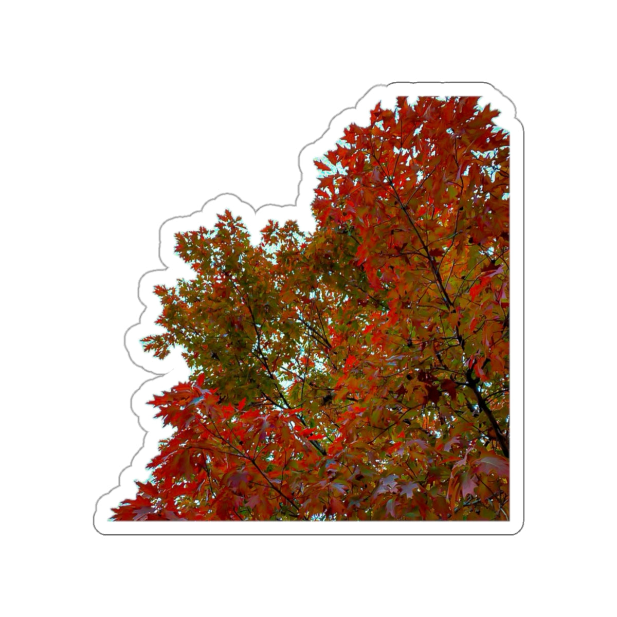 7 - Trees - 2 - Stickers