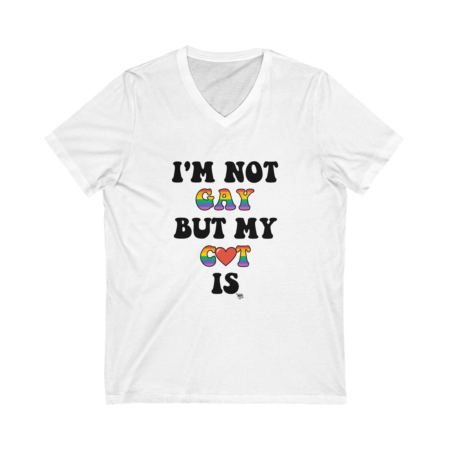 2 - I’m not GAY, but C❤️T