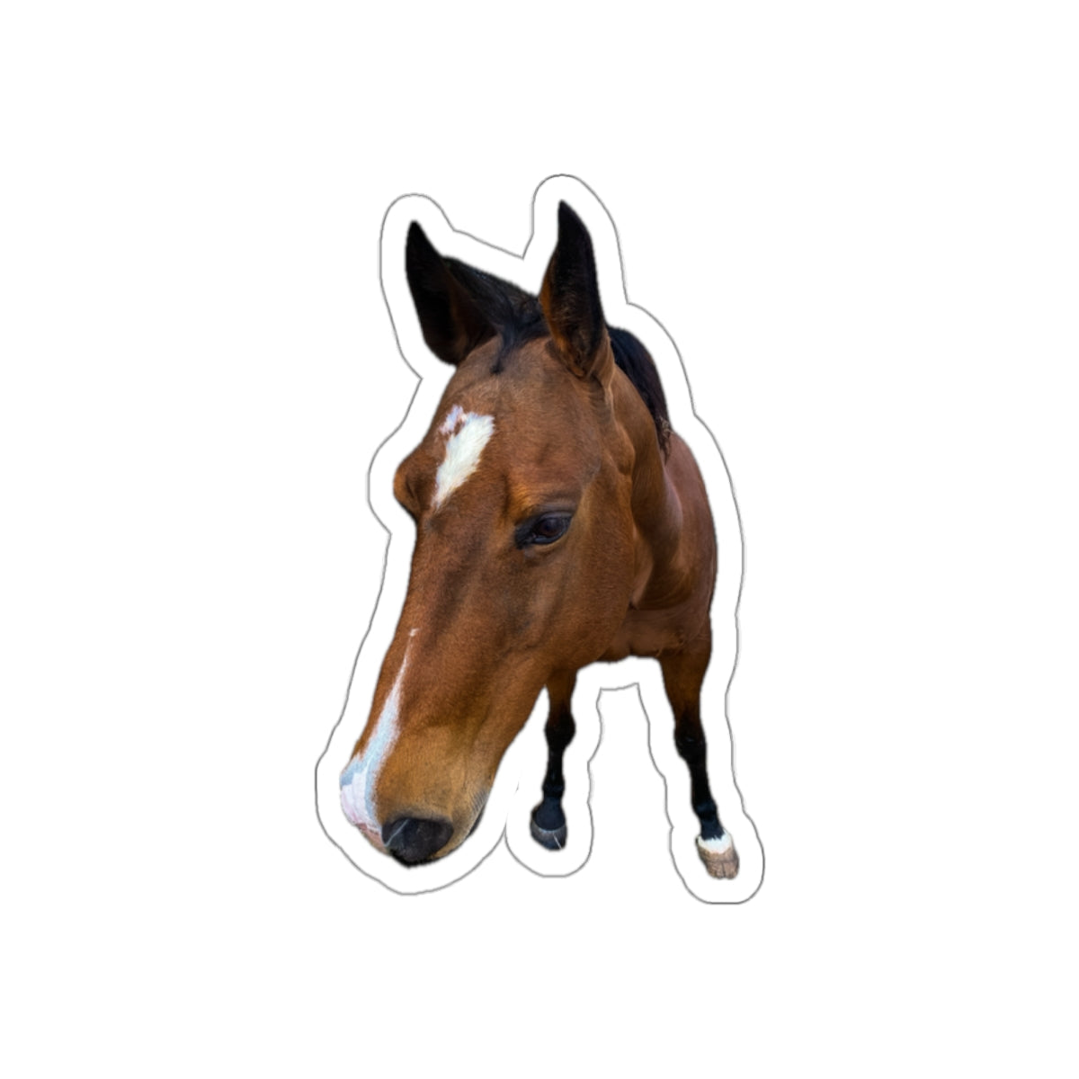 7 - Animals - Horse - Stickers