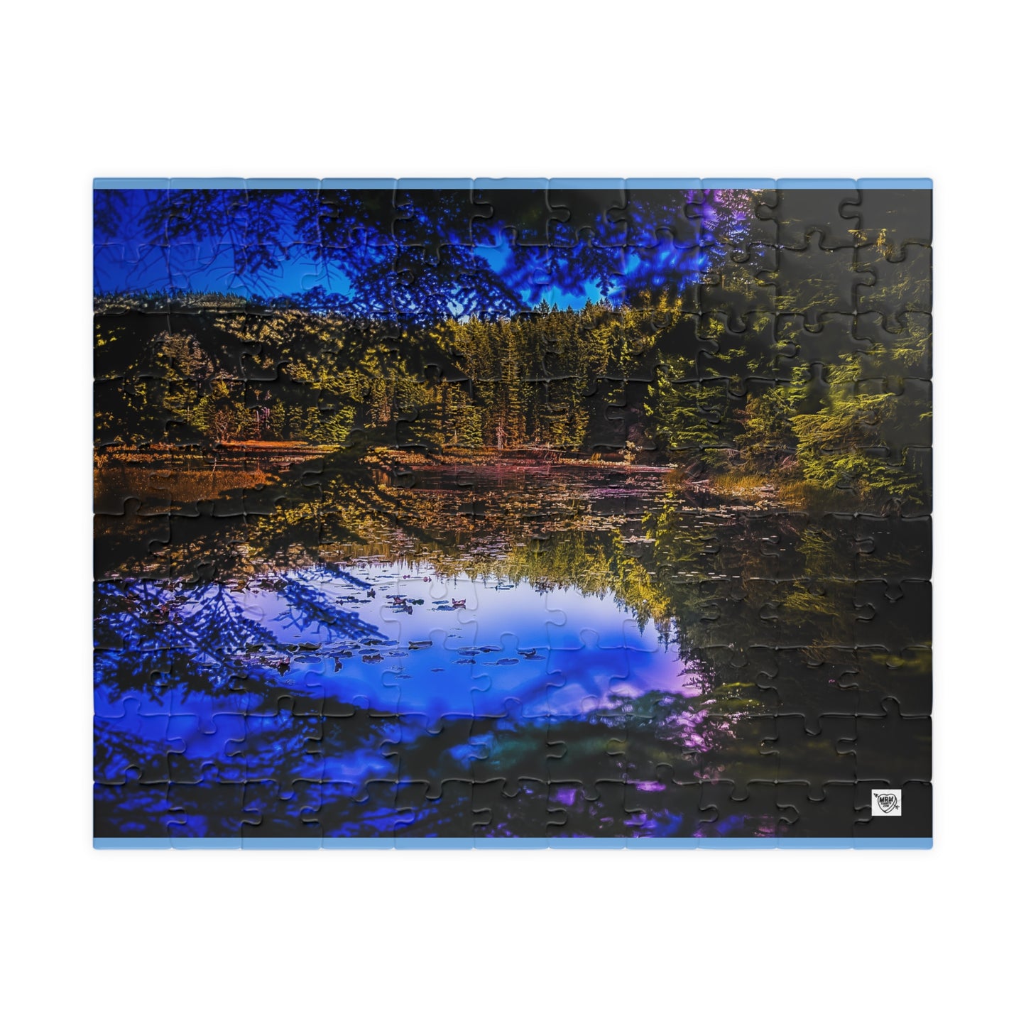 Washington -Puzzle - 110, 252, 520, 1014 Pieces, Perfect for