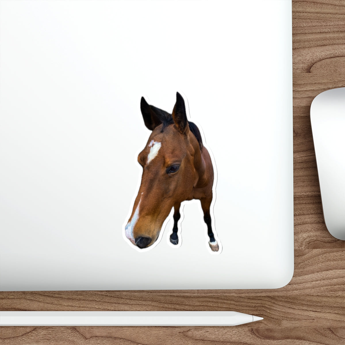 7 - Animals - Horse - Stickers