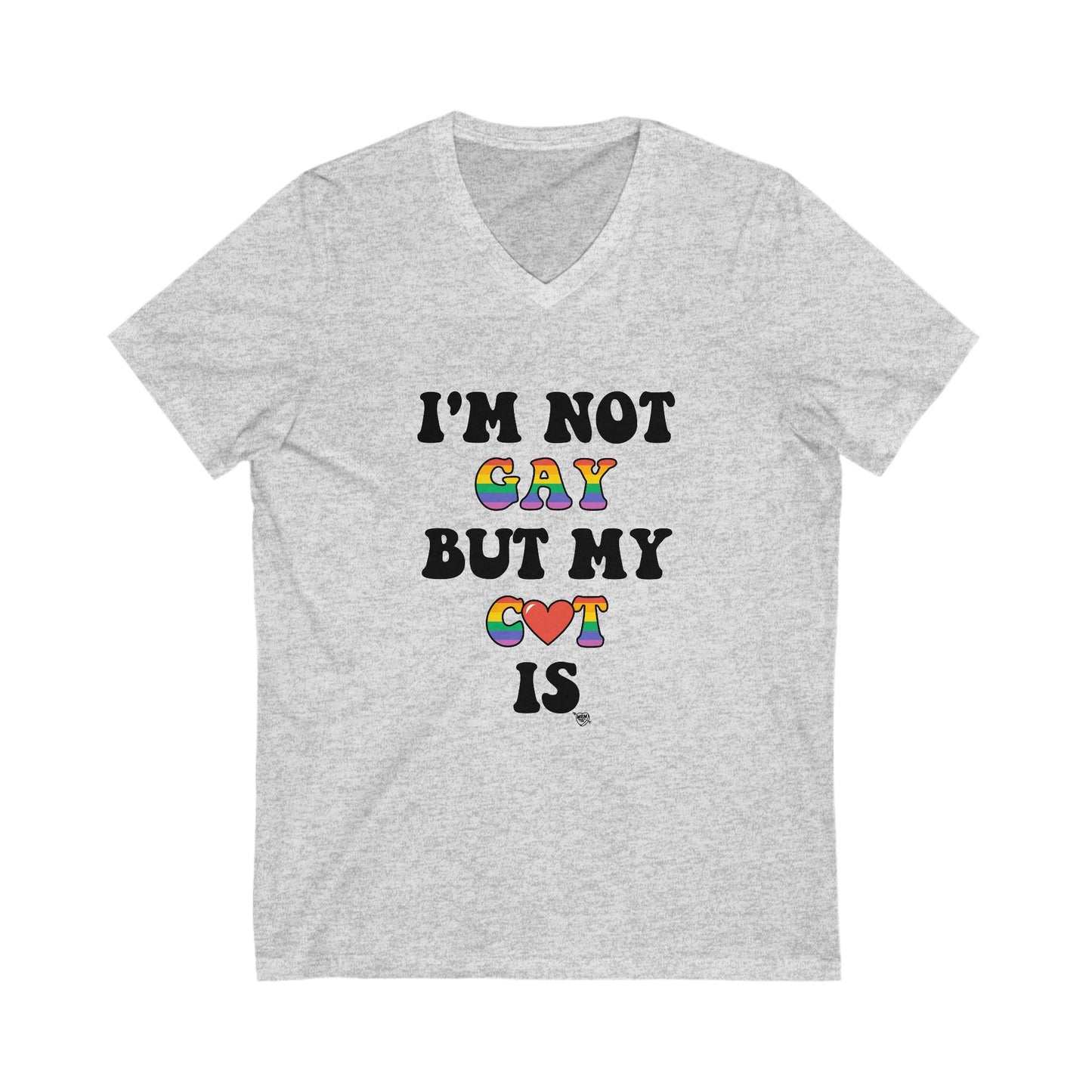2 - I’m not GAY, but C❤️T