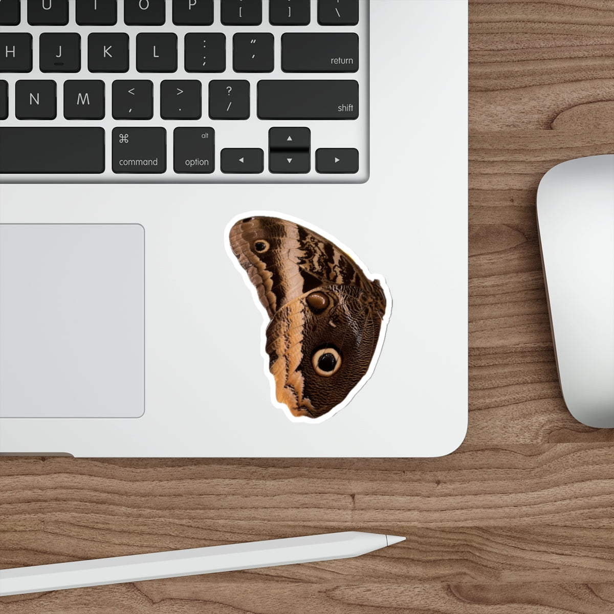 7 - Butterfly - 7 - Stickers