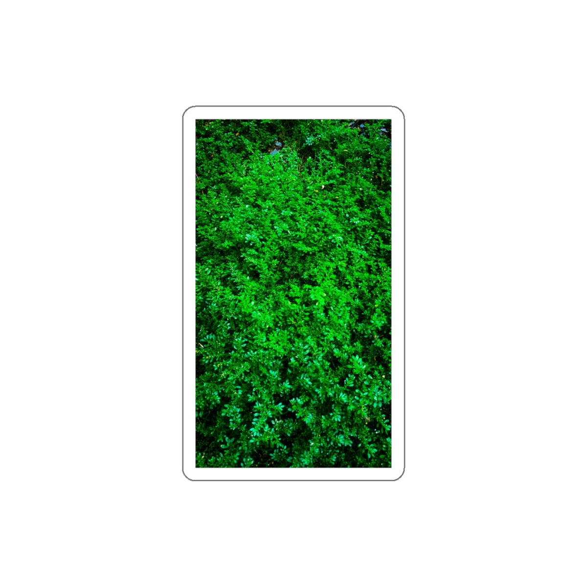 7 - Trees - 1 - Stickers