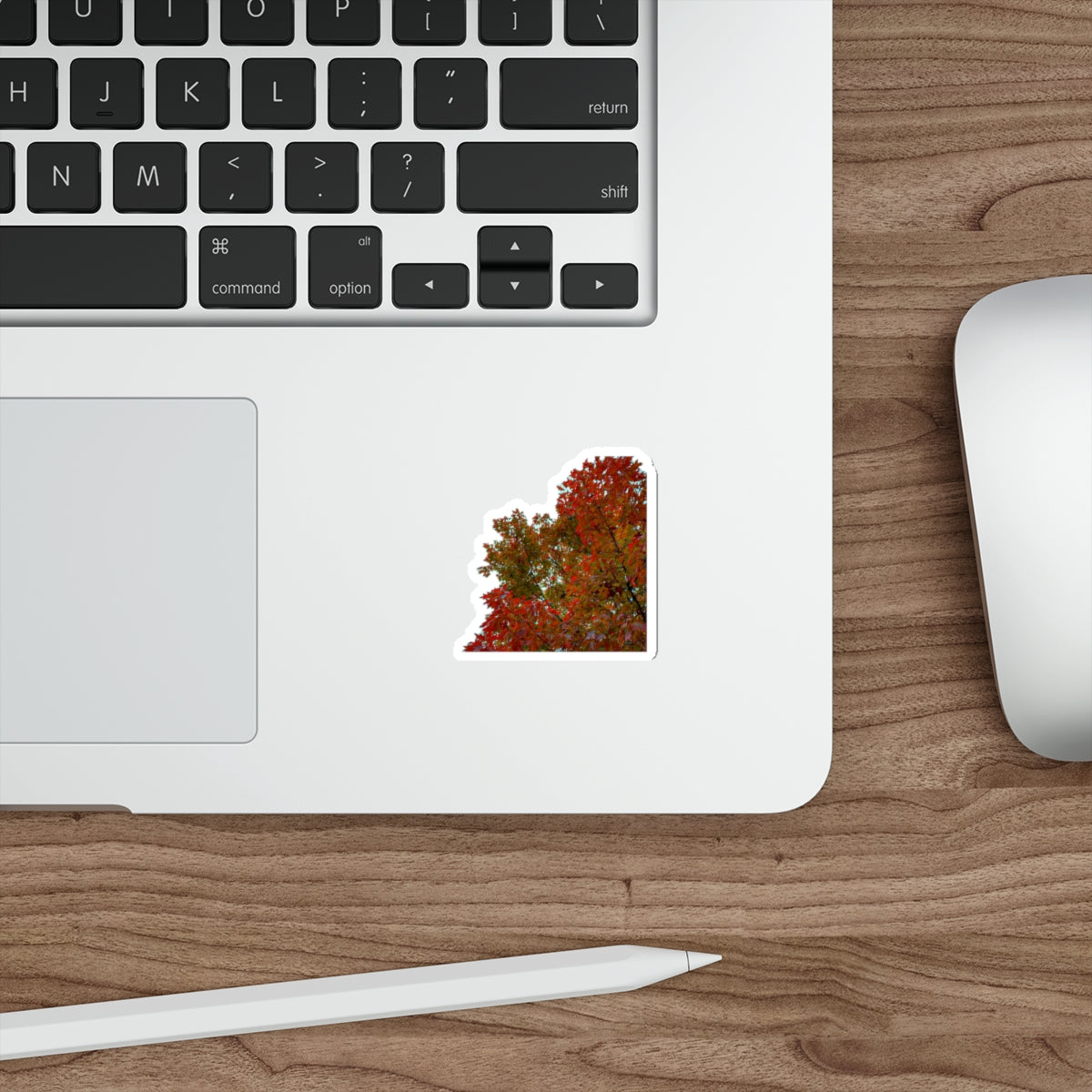 7 - Trees - 2 - Stickers