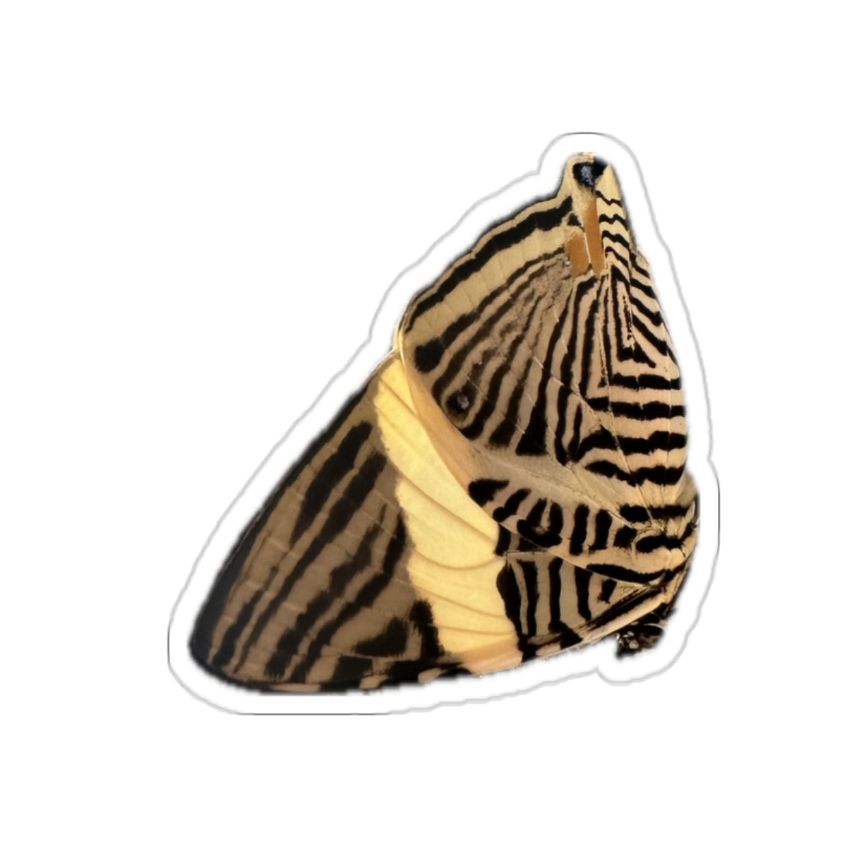7 - Butterfly - 3 - Stickers