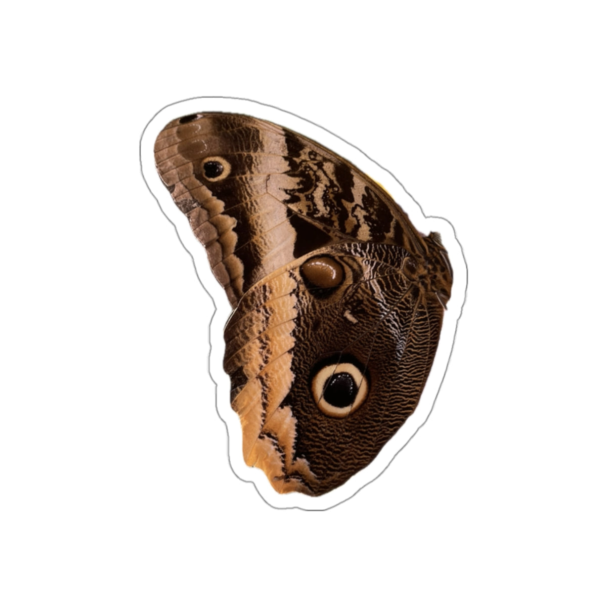 7 - Butterfly - 7 - Stickers