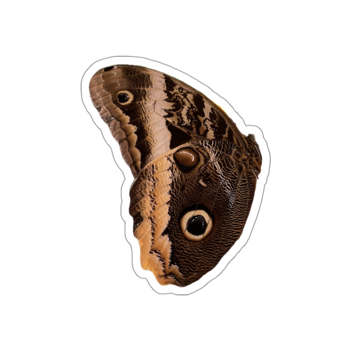7 - Butterfly - 7 - Stickers