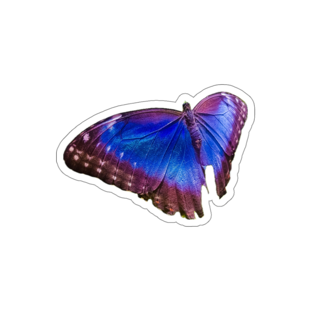 7 - Butterflie - 1 - Stickers