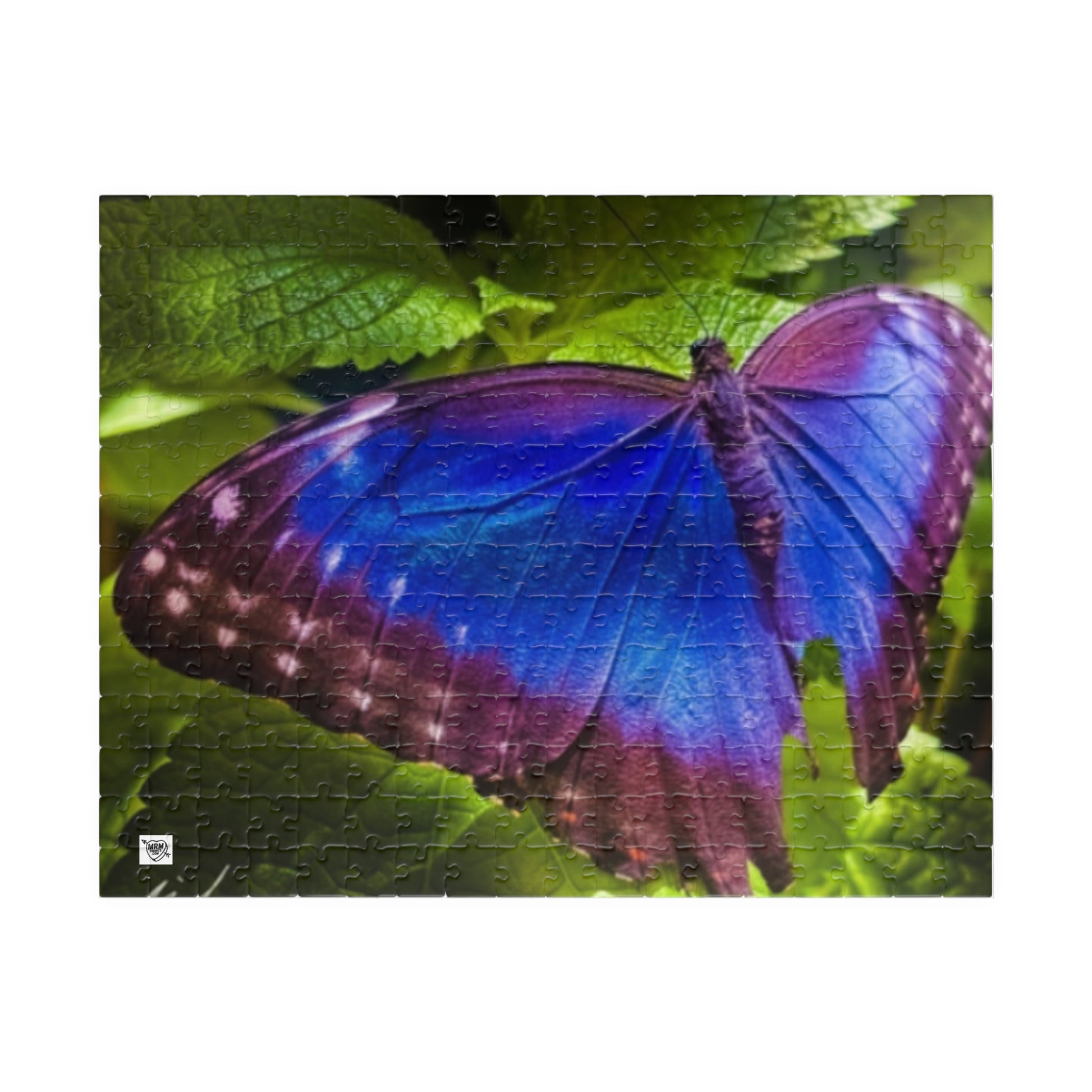 Butterfly - Puzzle Art - 110 to 1014 - ,Jigsaw