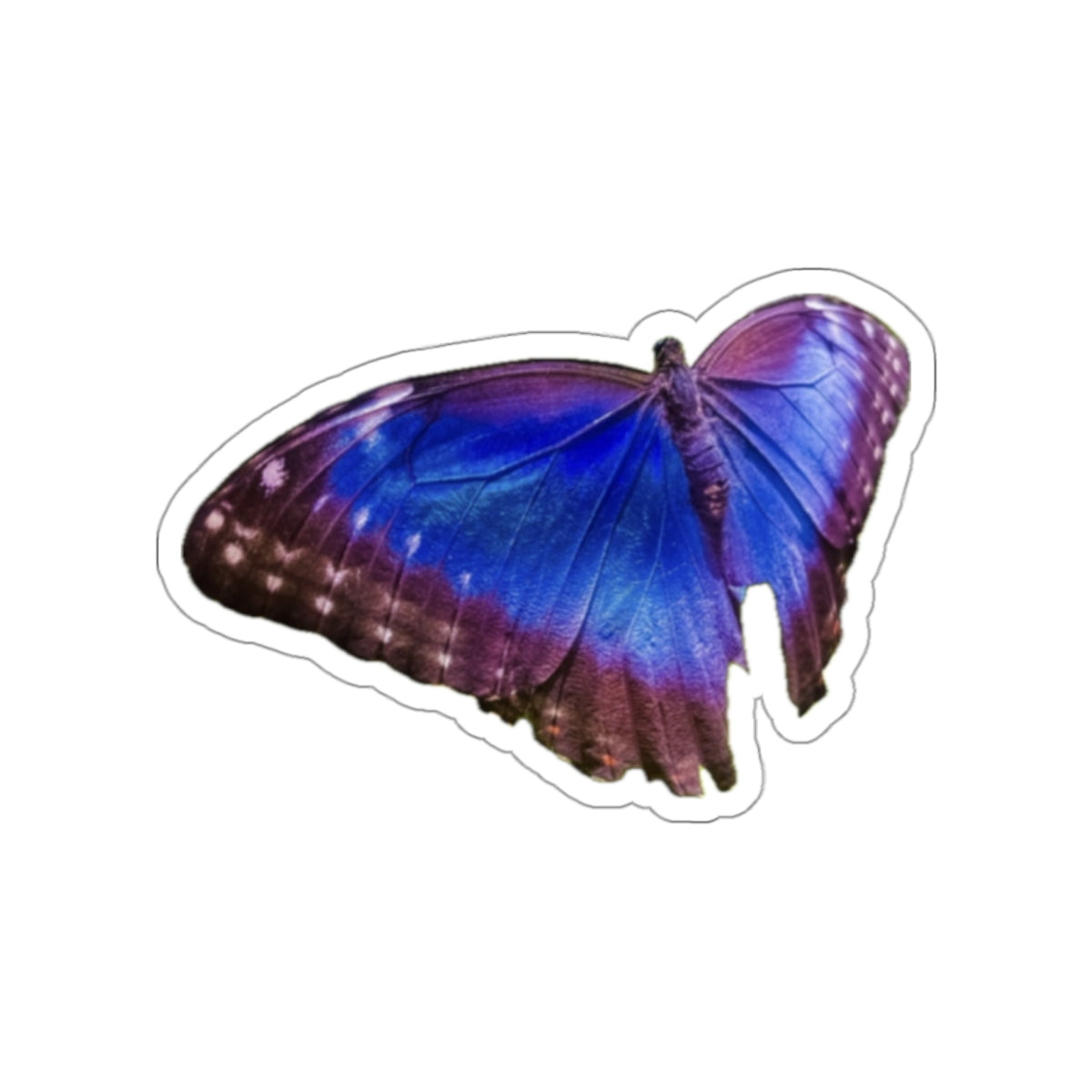 Butterfly - 4 - Stickers