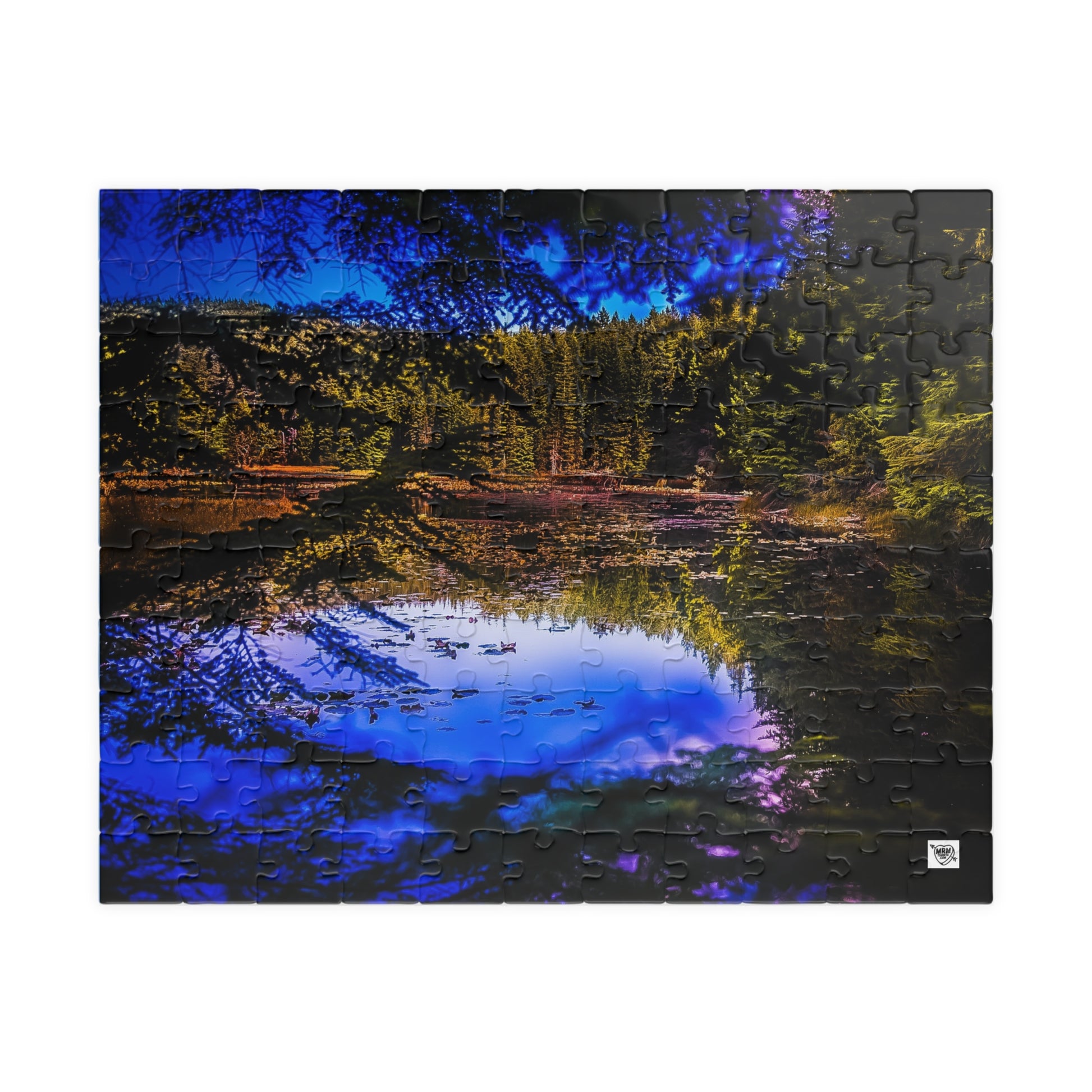 Washington  -Puzzle - 110, 252, 520, 1014 Pieces, Perfect for