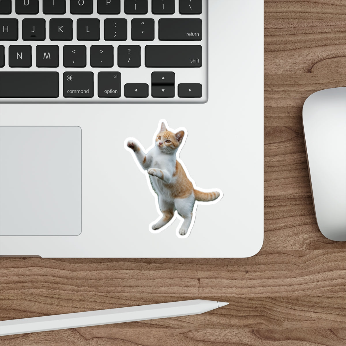 Playful Ginger Cat - Sticker