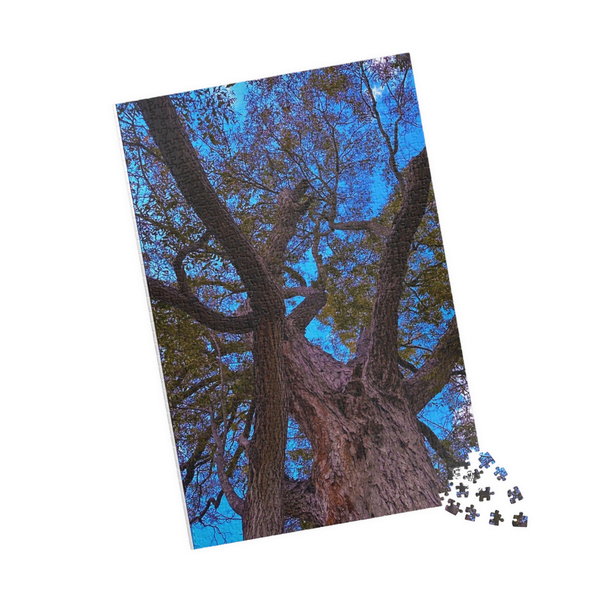 Pecan (Carya illinoinensis) - Texas tree - Puzzle, 110-1014 Pieces