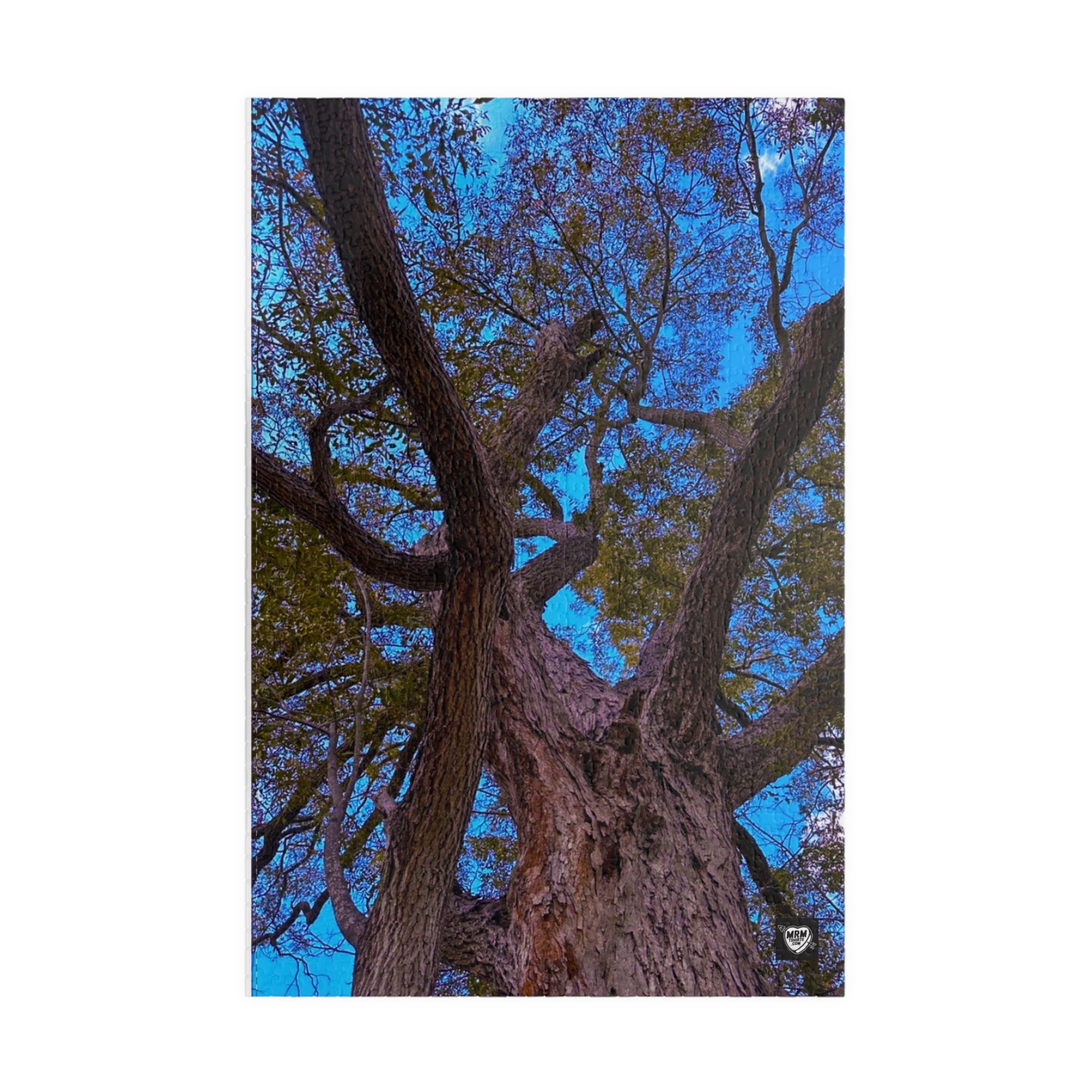 Pecan (Carya illinoinensis) - Texas tree - Puzzle, 110-1014 Pieces