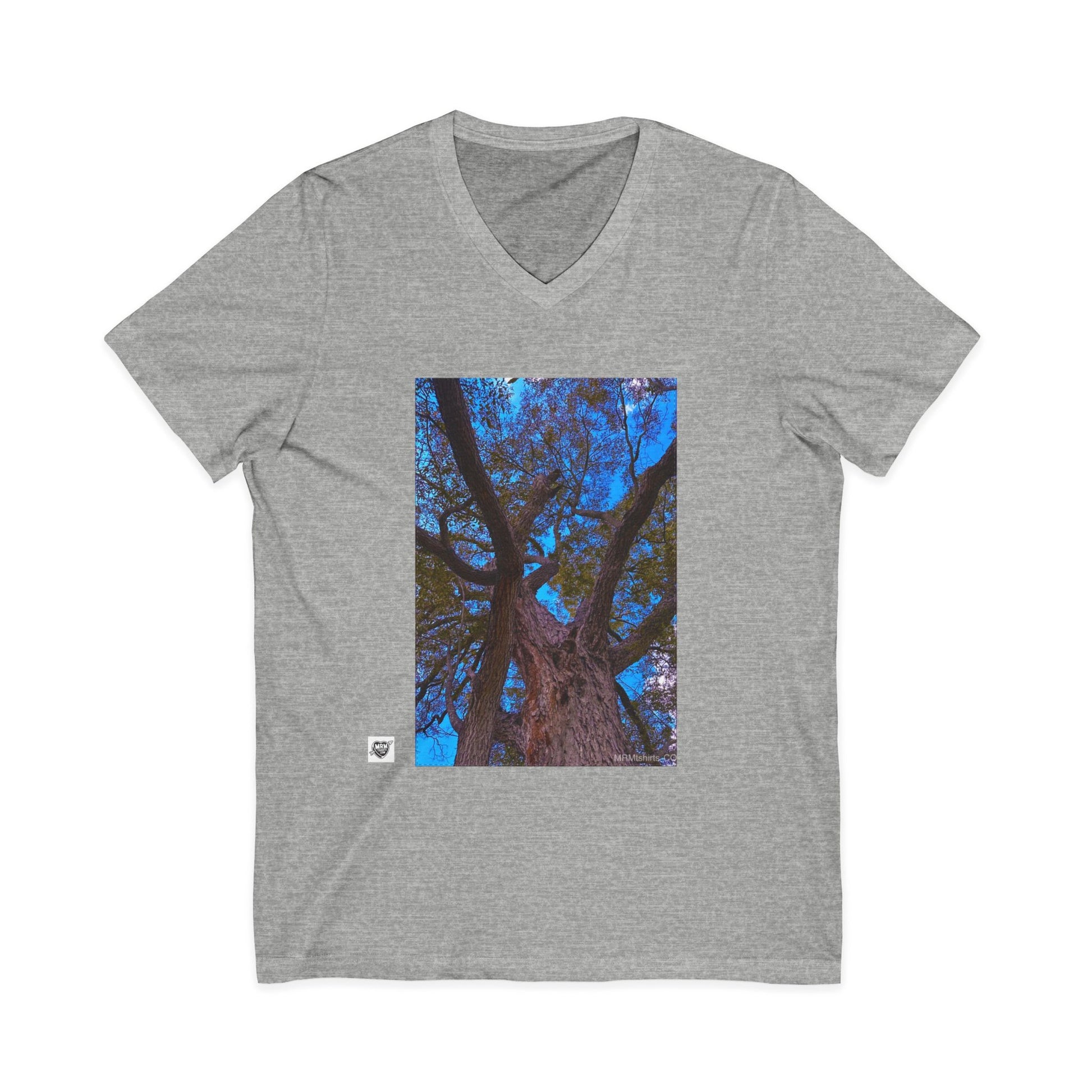 Pecan (Carya illinoinensis) - Texas tree - V-Neck